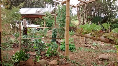 Photos of Finca Amrta