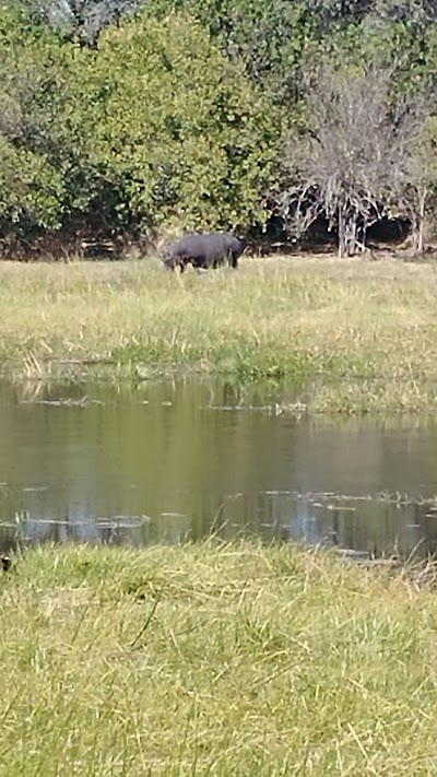Photos of Belmond Khwai River Lodge