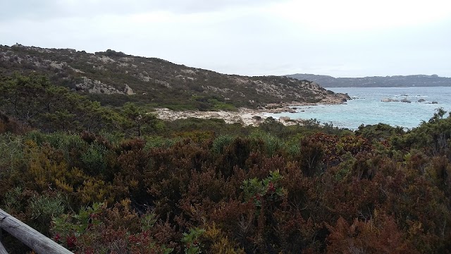 Bassa trinita
