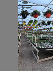 Shamrock Greenhouse 620 Railway Ave W, Foam Lake, SK S0A 0G3, Canada