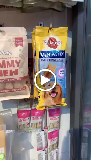 Looking for the Best Dog Treats? Visit Pet Club in Panipat! post image