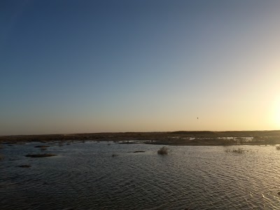 Photos of طريق الغربية حساني عبد الكريم