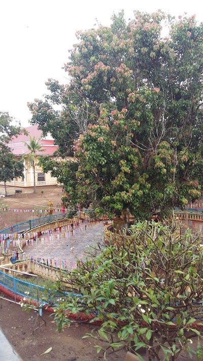 Photos of វត្តពោធិធម្មរង្សី