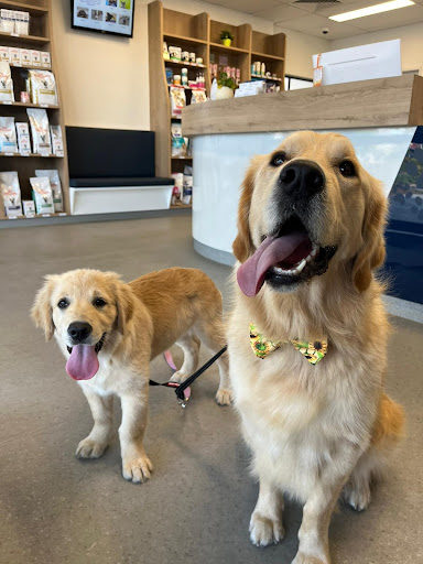 Pet Doctors Palm Beach - Thumbnail