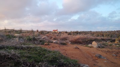 Photos of Aruba Peace Labyrinth