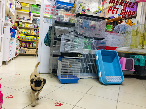 Fethiye Merkez Petshop
