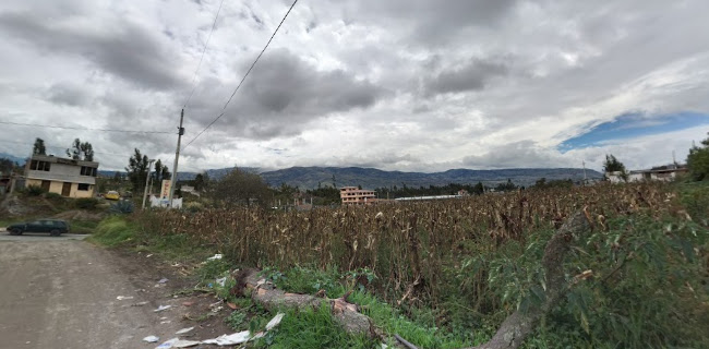 Opiniones de POLLO EL PECHUGON en Riobamba - Tienda