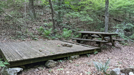 Pinhoti Trail Hawkins Hollow Co Rd 8 - Thumbnail