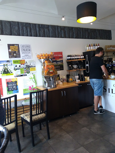 Comentarii opinii despre Cafe Silesia