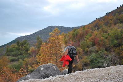 Berat City Tours