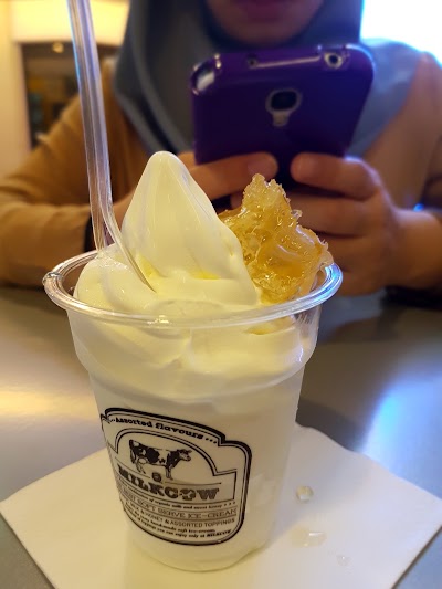 Photos of Milkcow