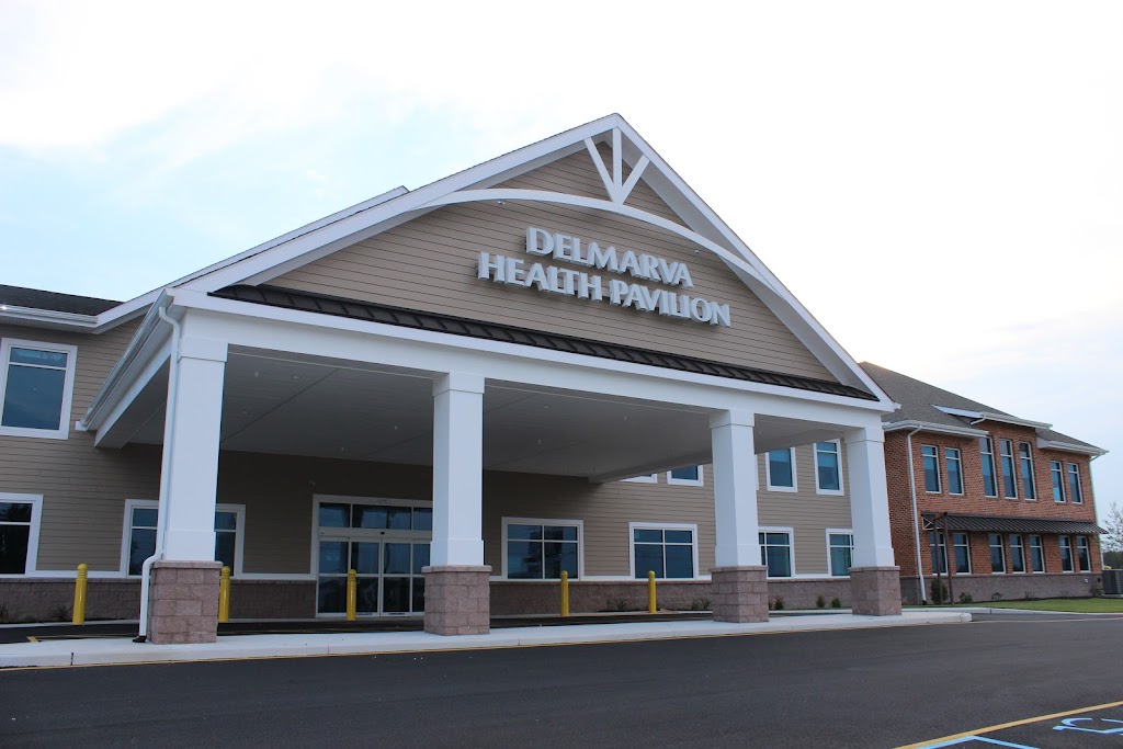 Tidalhealth Cardiovascular Surgery Millsboro