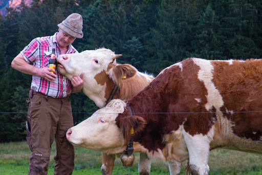 Estermann-Hof - Visual