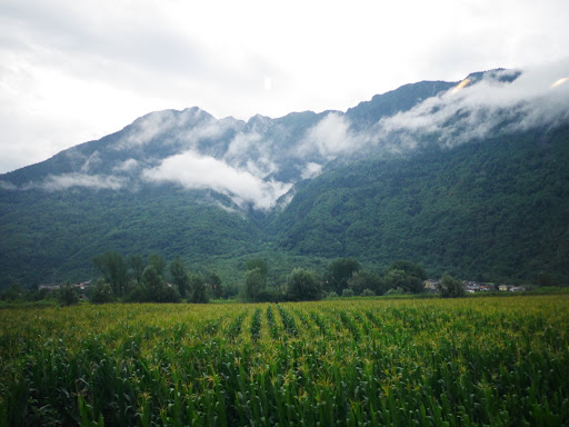 Morbegno - Visual