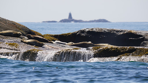 Saddleback Lighthouse - Visual