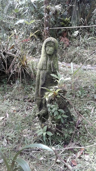 Photos of Parque Bot&aacute;nico Los Yapas