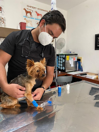 Vet Center Querétaro