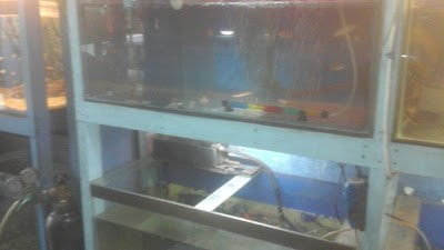Photos of Eqy Aquarium