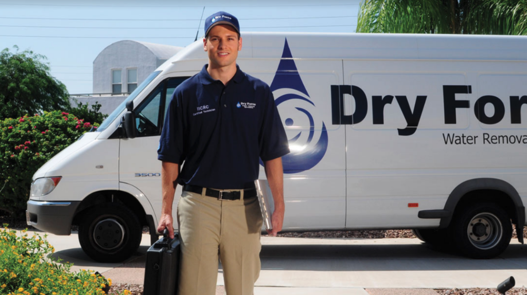 Dry Force Water Removal Specialists photo