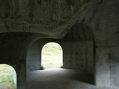 Photos of Tv&iacute;s&ouml;ngur