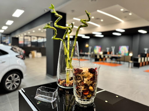 Fast Car Srl - Visual