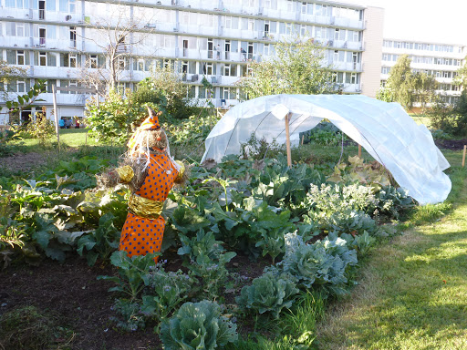 Photo de Les Jardins d' ARCADIE à Mont-Saint-Aignan (76130)
