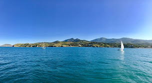 Photo n°10 de KapMer | Navettes - Promenades - Vision sous-marine - Dauphins à Argelès-sur-Mer (Agence d'excursions en bateau)