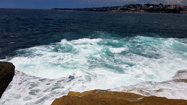 Clovelly Beach