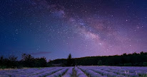 Environnement et Découvertes - Accompagnateur en montagne - Alpes Maritimes à Gilette