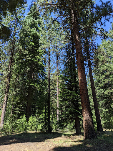 Wiley Flat Campground - Visual