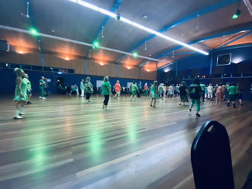 Cheyenne On Queue Line Dancing - Visual