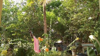 Photos of Pinthu Home Stay