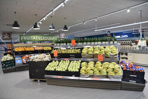 ALDI Olot - Visual
