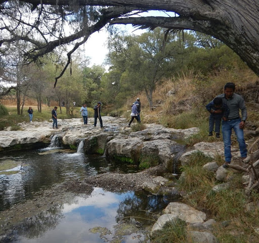 El charco centro ecoturistico - Thumbnail