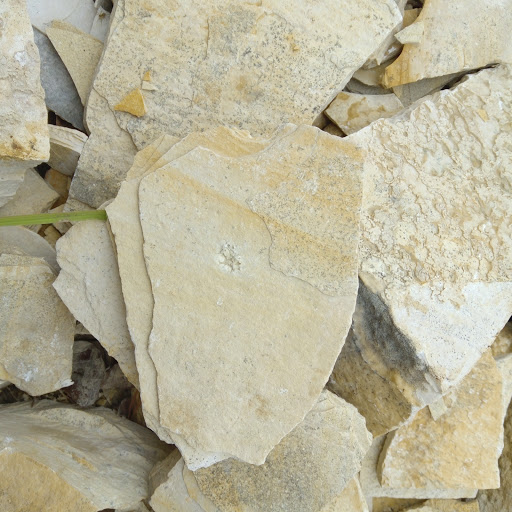 Fossiliensteinbruch Schamhaupten - Thumbnail