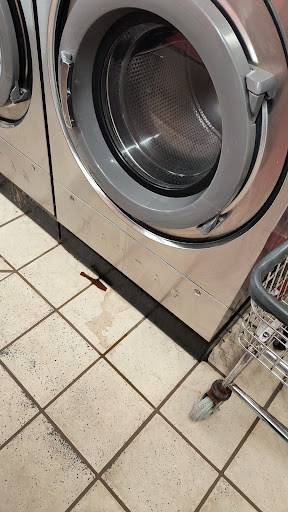 Y Washateria - Thumbnail