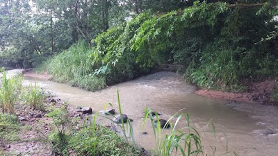Photos of Panamure Elephant Kraal