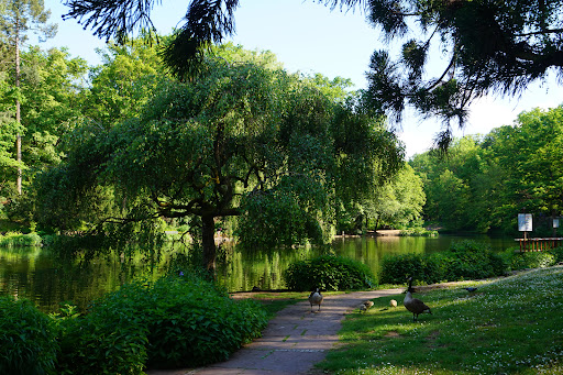 Luisenhain Bamberg - Thumbnail