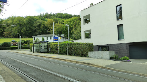 Waldorfschule