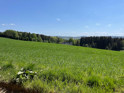 Tabakstanne - Visual