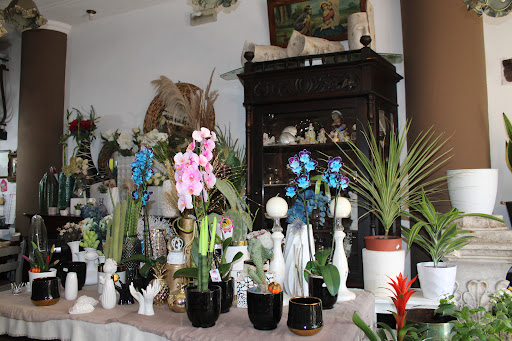L'Antico Giardino Srl - 336775555