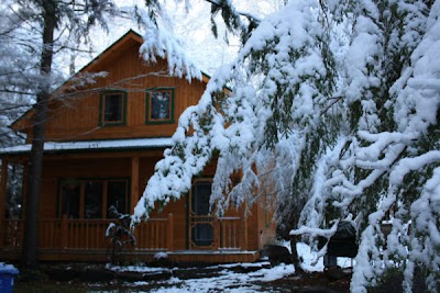 Photos of Bijou Dans La For&ecirc;t