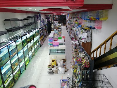 IŞIK PETSHOP