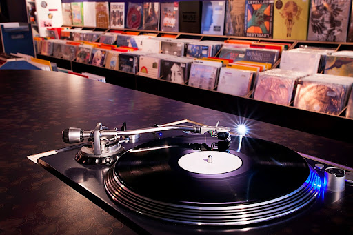 Dodo Beach Record Store - Thumbnail