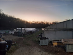 Photo n°38 de Ferme des prés neufs à Longpont-sur-Orge (Maraîcher)