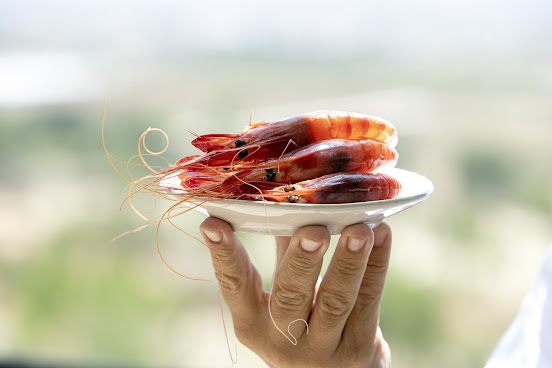 Restaurante Singular by null