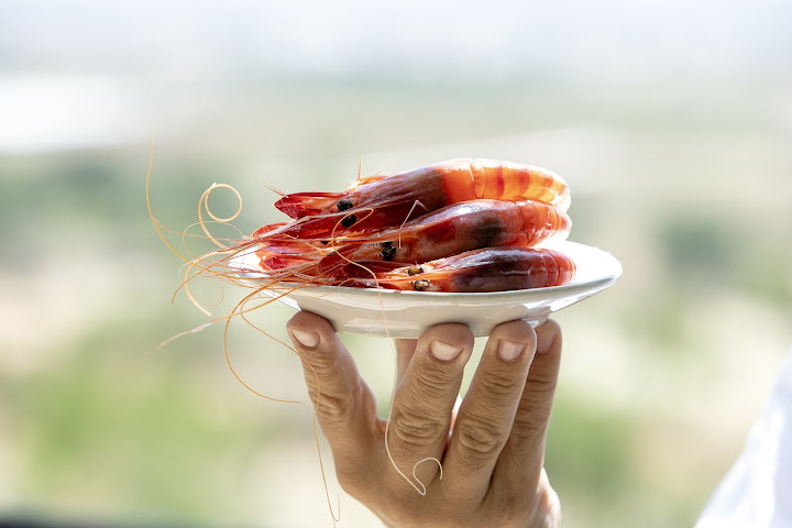 Restaurante Singular by null