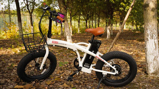 Palmetto Ebikes