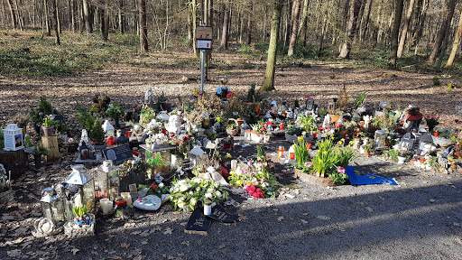 Dorsten Tüshausweg Friedhof - Thumbnail