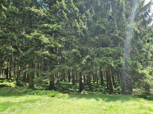 Alte Tränke - Visual